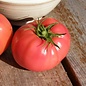 Tomate standard Savignac - Bio (25 semences)