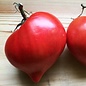 Tomate coeur de boeuf Téton de venus bio (35 semences)