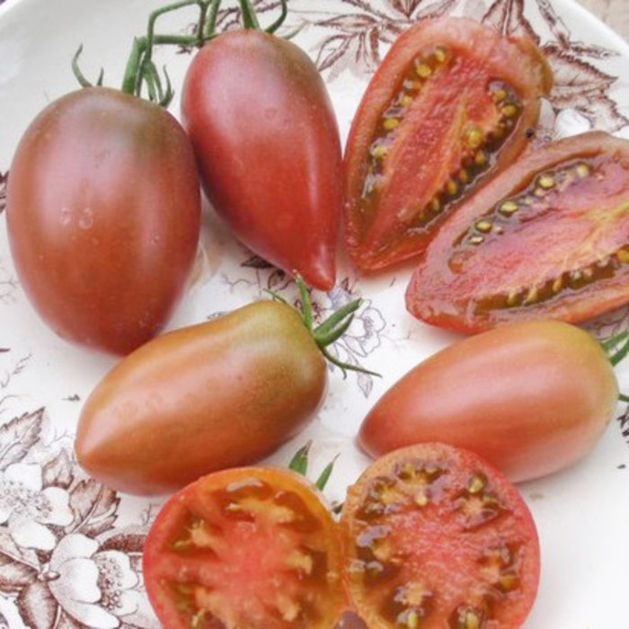 Tomate Ukrainian purple (35 semences)