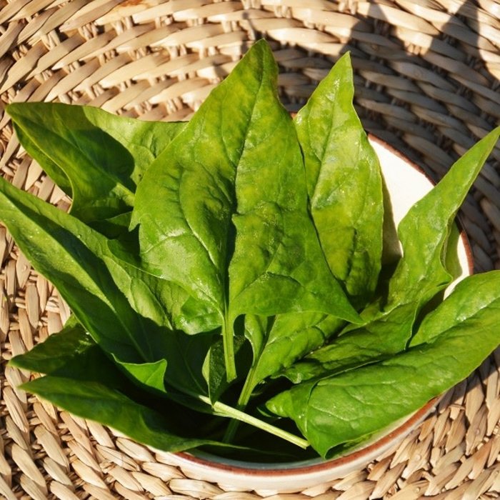 Épinard Verdil  -Bio (300 semences)