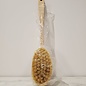 Brosse végétale corps avec long manche