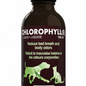 Chlorophylle pour animaux