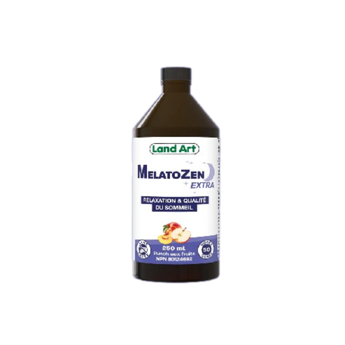 MelatoZen Extra 250ml Punch aux fruits