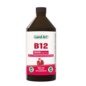 Vitamine B12 liquide 250 ml