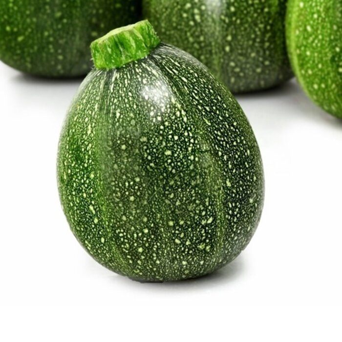 Courgette Ronde de Nice - Bio (25 semences)