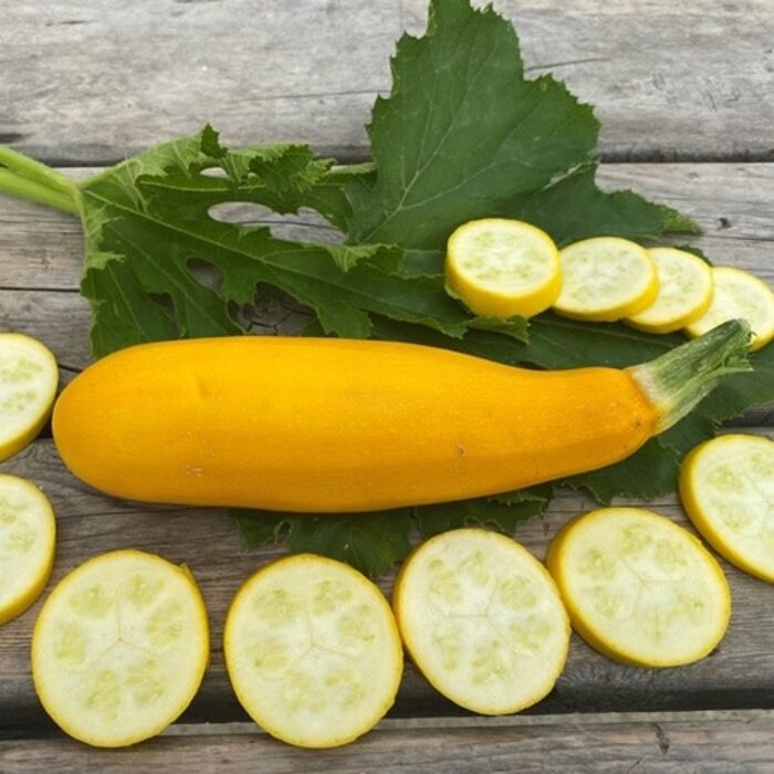 Courgette jaune - Bio (20 semences)