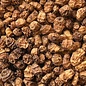 Souchet comestible - Bio (15 semences)