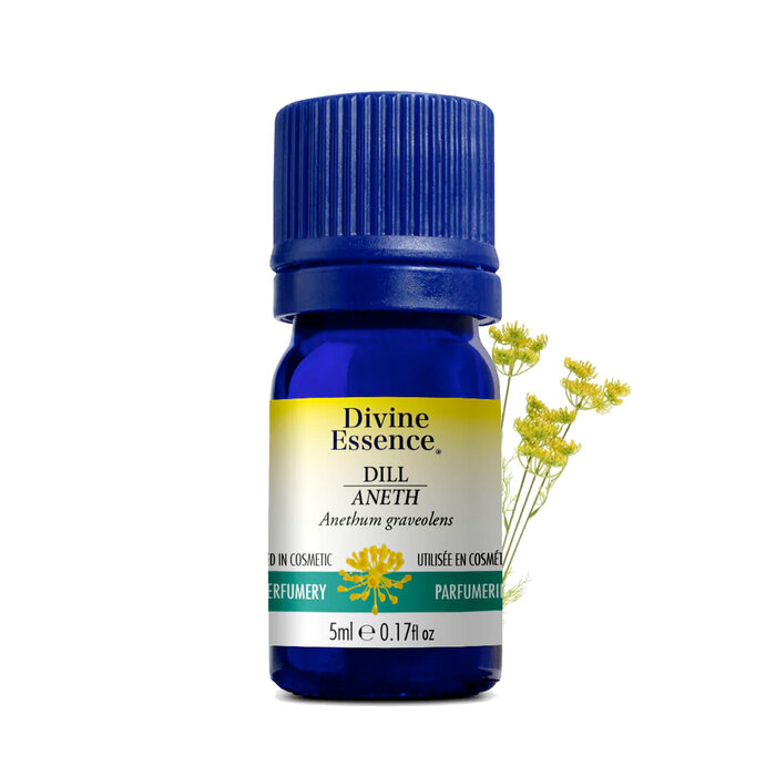 Huile essentielle Aneth - Dill ( Anethum graveolens) 5 ml