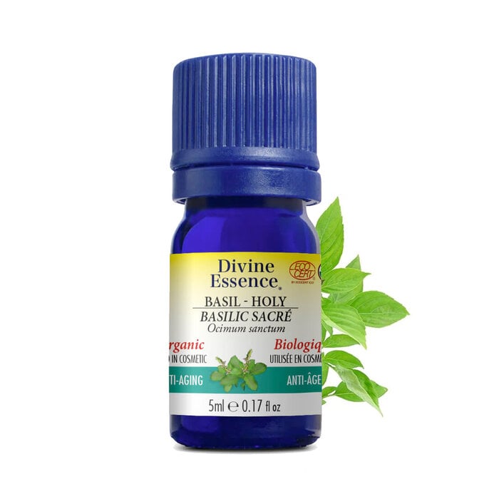 Huile essentielle Basilic Sacré bio (Ocimum sanctum) 5 ml