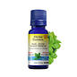 Huile essentielle Basilic Tropical bio (Ocimum basilicum var. basilicum) exotique 15 ml