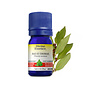Huile essentielle Bay St-Thomas (Pimenta racemosa) 5 ml