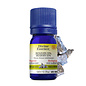 Huile essentielle Benjoin bio (Styrax benzoe tonkinensis) 5 ml