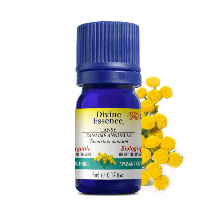Huile essentielle Camomille Bleue-Tanaisie bio (Tanacetum annuum) 5 ml