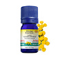 Huile essentielle Camomille Bleue-Tanaisie bio (Tanacetum annuum) 5 ml