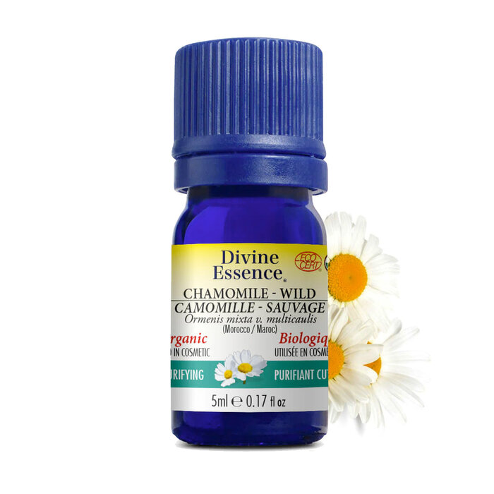 Huile essentielle Camomille du Maroc sauvage (Ormenis mixta v. multicaulis) 5 ml