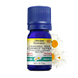 Huile essentielle Camomille du Maroc sauvage (Ormenis mixta v. multicaulis) 5 ml