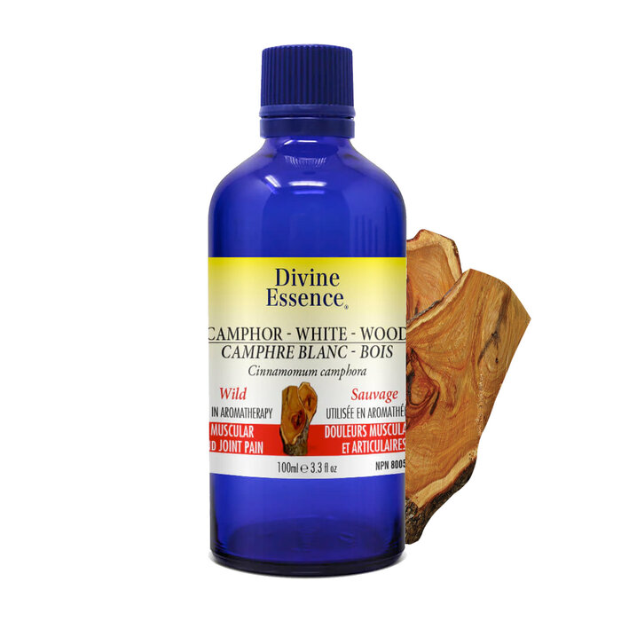 Huile essentielle Camphre Blanc Bois sauvage (Cinnamomum camphora) -