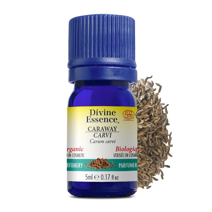 Huile essentielle Carvi 5 ml (Carvone, Limonene) semence