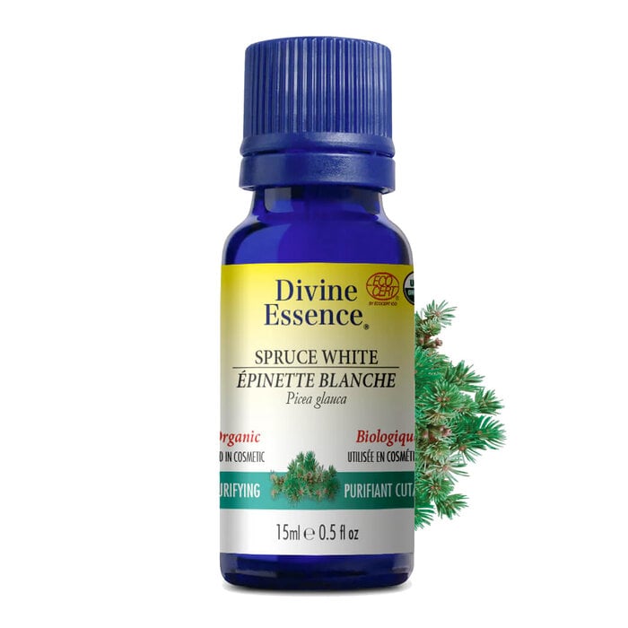 Huile essentielle Epinette Blanche bio (Picea glauca) 15 ml