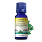 Huile essentielle Epinette Blanche bio (Picea glauca) 15 ml