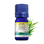 Huile essentielle Estragon (Artemisia dracunculus) 5 ml