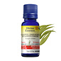 Huile essentielle Eucalyptus citronnée bio