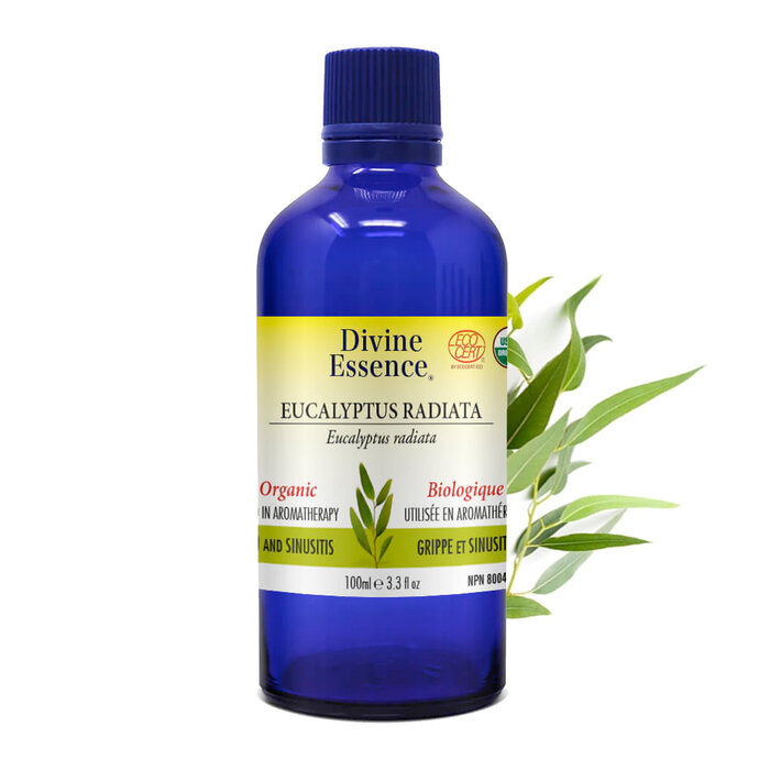 Huile essentielle Eucalyptus Radiata bio