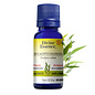 Huile essentielle Eucalyptus Radiata bio