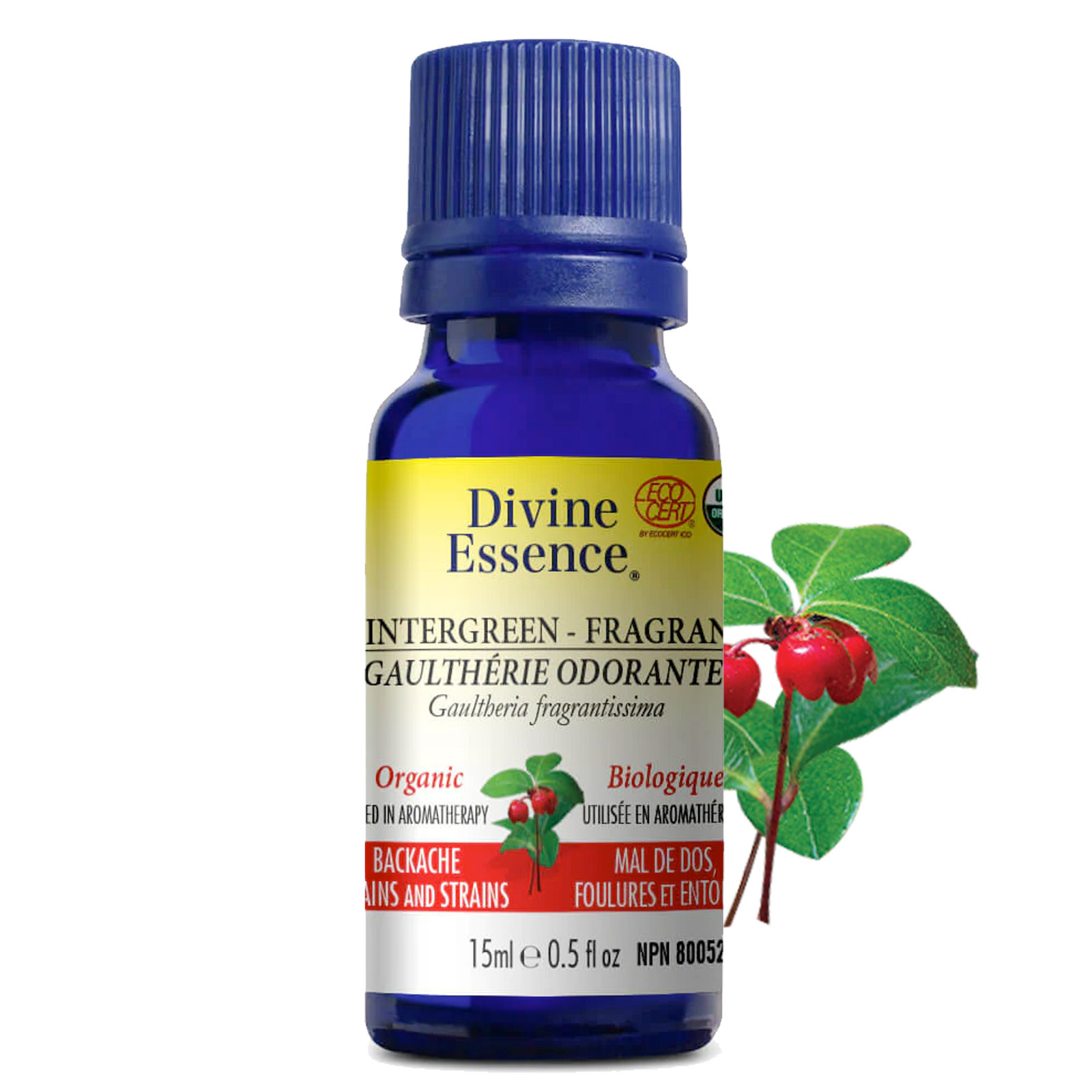 Huile Essentielle De Gaulthérie Odorante Bio - Gaultheria Fragrantissima - Flacon 1000ml - Oshadhi