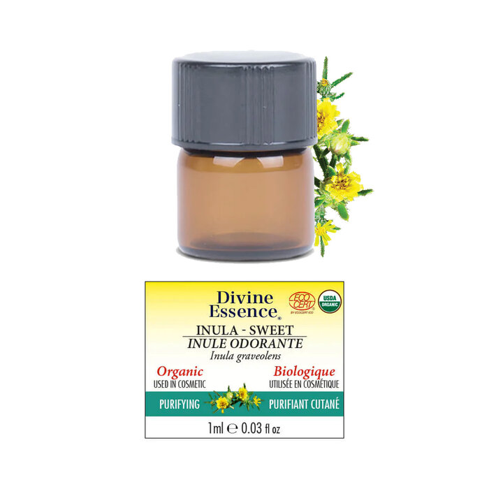 Huile essentielle Inule Odorante bio (Inula graveolens) 1 ml