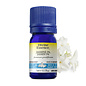 Huile essentielle Jasmin Absolue 5% (Jasminum grandiflorum) 5 ml