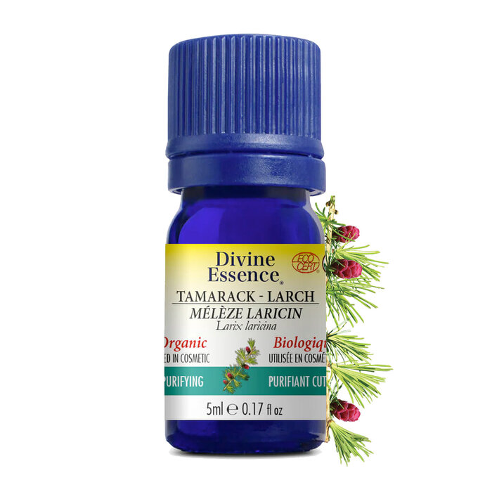 Huile essentielle Meleze Laricin bio (Larix laricina) 5 ml