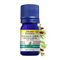 Huile essentielle Meleze Laricin bio (Larix laricina) 5 ml