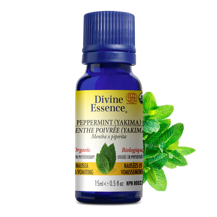 Huile essentielle Menthe Poivree bio (Mentha piperita)