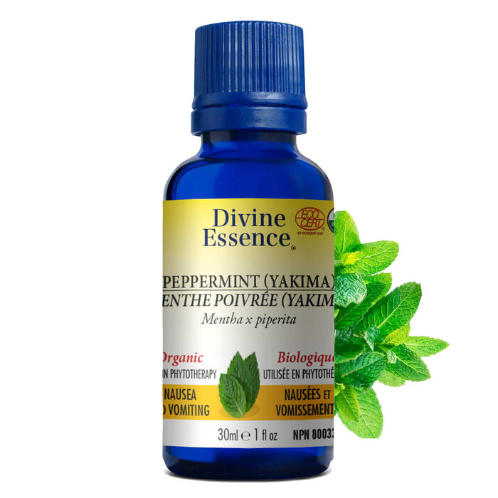 Huile essentielle Menthe Poivree bio (Mentha piperita)
