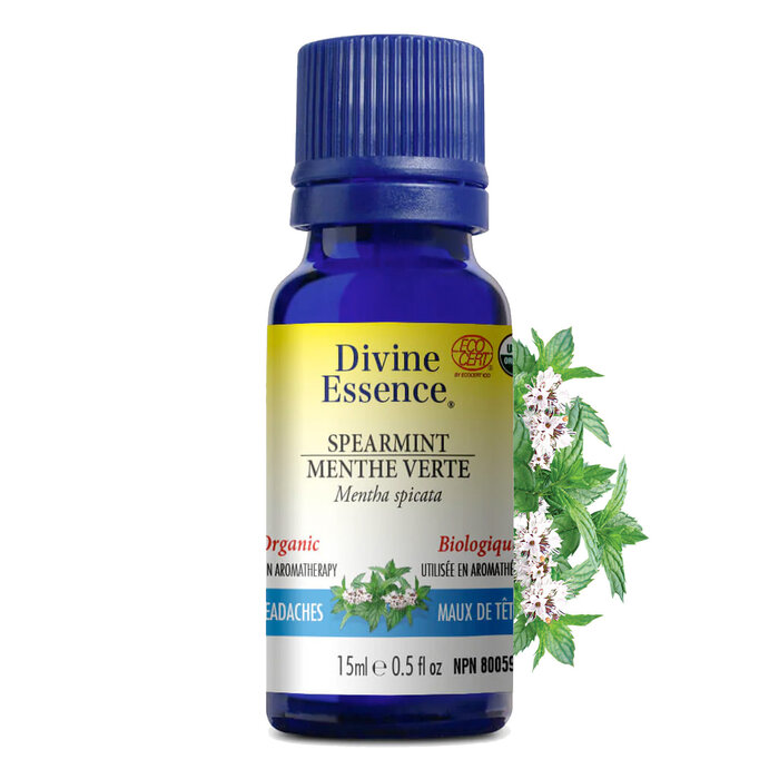 Huile essentielle Menthe verte bio