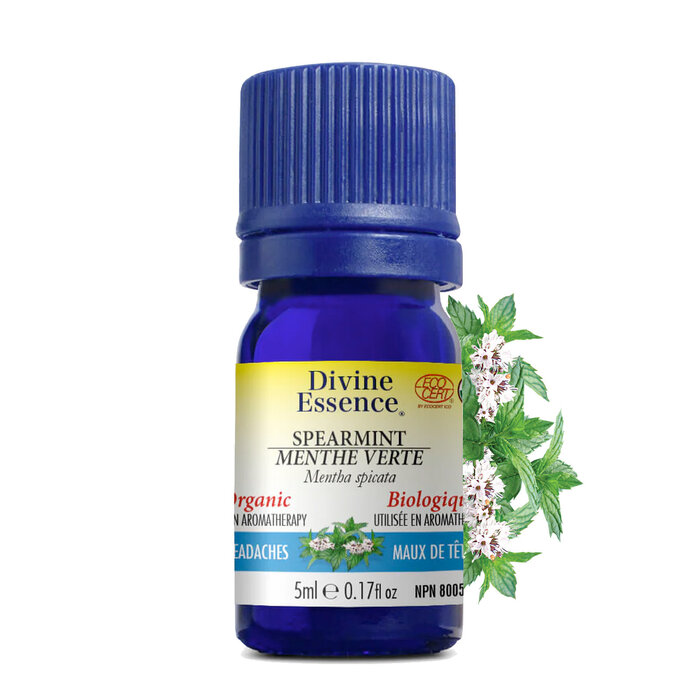 Huile essentielle Menthe verte bio
