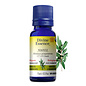 Huile essentielle Niaouli bio (Melaleuca quinquenervia CT 1,8-cineole)