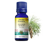 Huile essentielle Pin Blanc bio (Pinus strobus) 15 ml