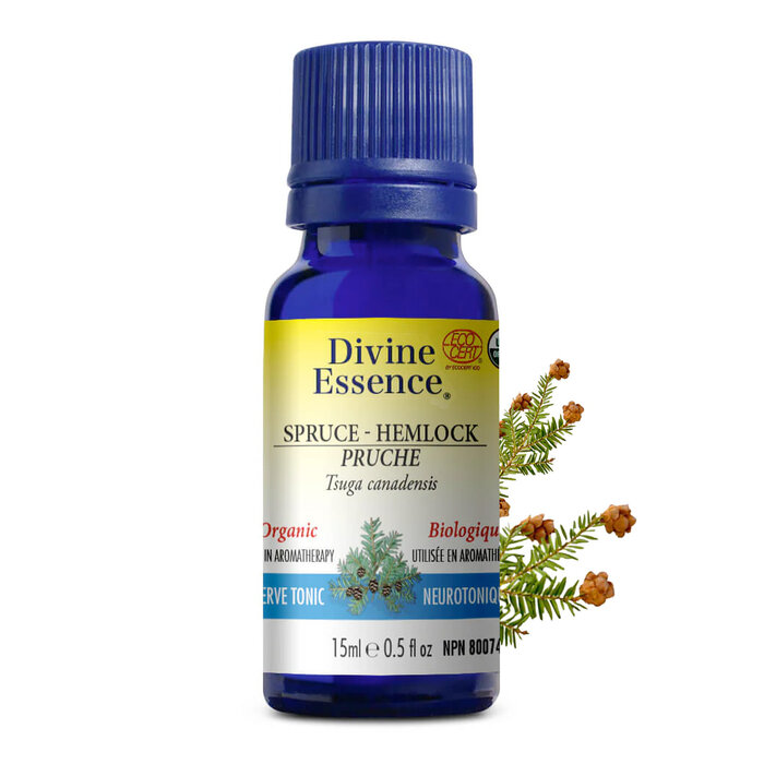 Huile essentielle Pruche bio (Tsuga canadensis) 15 ml