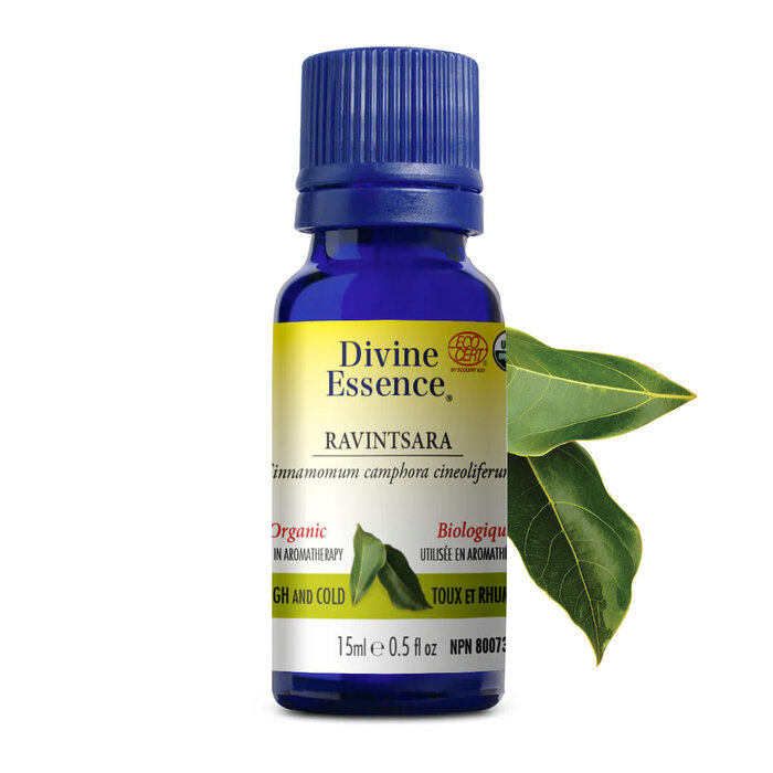 Huile essentielle Ravintsara bio (Cinnamomum camphora cineoliferum)