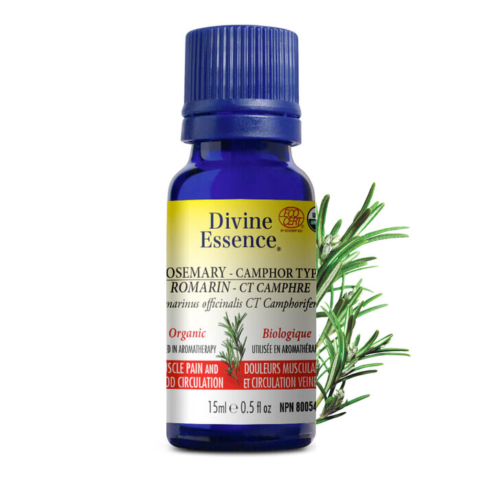 Huile essentielle Romarin a Camphre bio (Rosmarinus officinalis camphoriferum) 15 ml