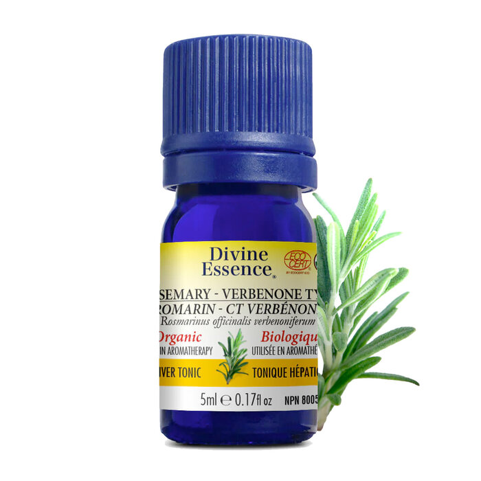 Huile essentielle Romarin a Verbenone bio (Rosmarinus officinalis verbenoniferum) 5 ml