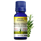Huile essentielle Romarin Cineole bio (Rosmarinus officinalis cineoliferum)