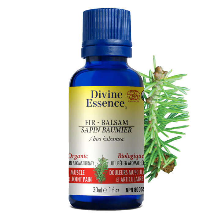 Huile essentielle Sapin baumier bio (Abies balsamea)