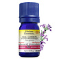 Huile essentielle Sauge officinale bio