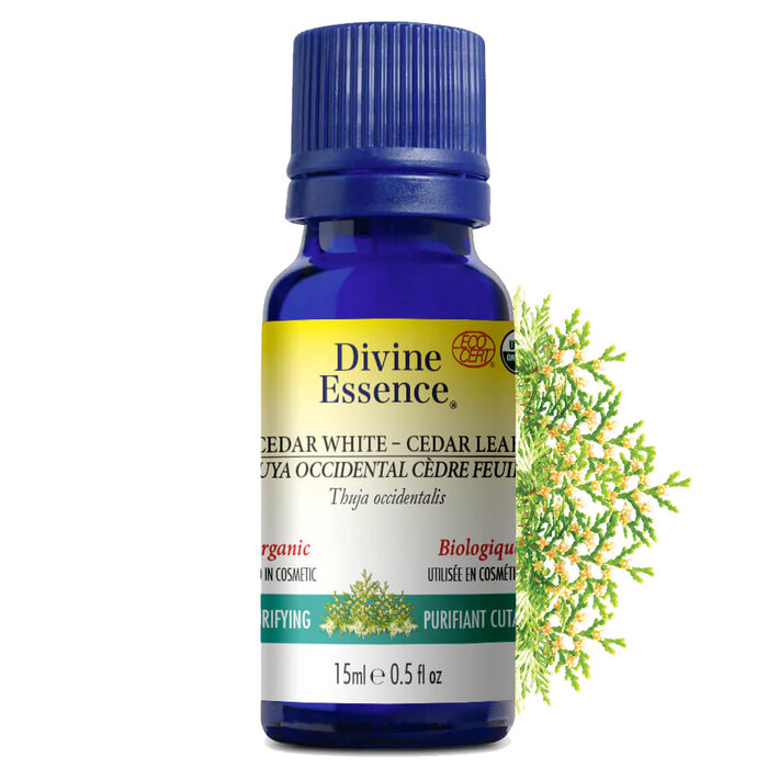 Huile essentielle Thuya Occidental (cedre feuille) bio (Thuja occidentalis) 15 ml