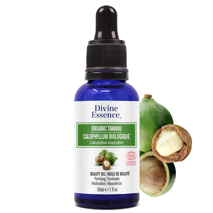 Huile végétale Calophyllum (Tamanu) bio (Calophyllum inophyllum) 30 ml