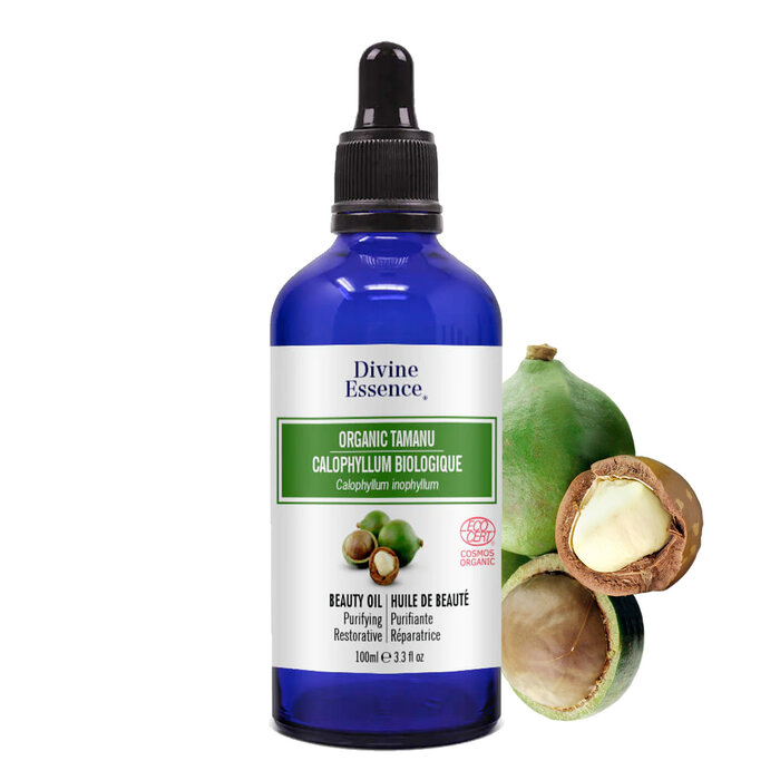 Huile végétale Calophyllum 100 ml