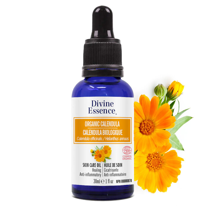 Huile de calendula bio (souci des Jardins)